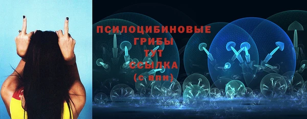прущие грибы Алзамай