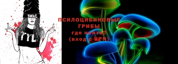 прущие грибы Алзамай