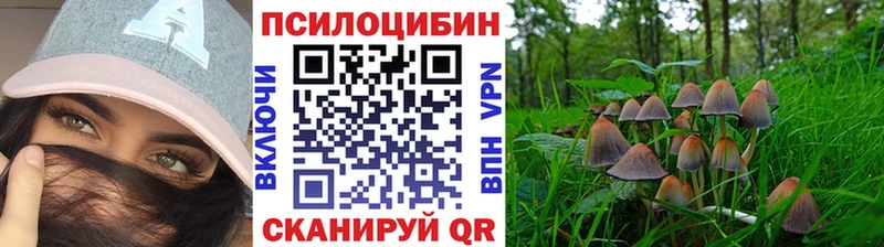 купить наркотик hydra ссылки Галлюциногенные грибы Magic Shrooms Харовск